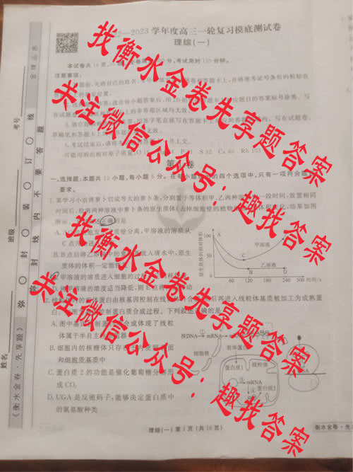 衡水金卷先享题2022—2023学年度高三一轮复习摸底测试理综(一)答案