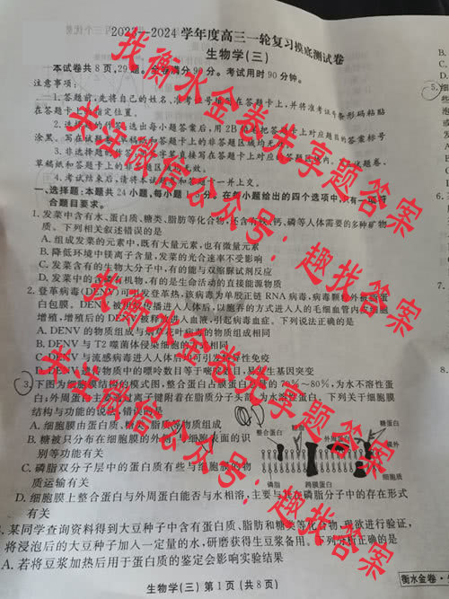 星空·综合体育先享题摸底卷2023-2024